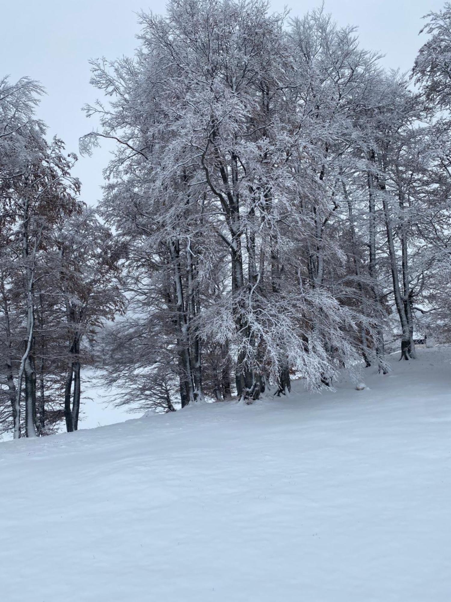 Vikendica Aleksandra Zabljak  Exterior photo
